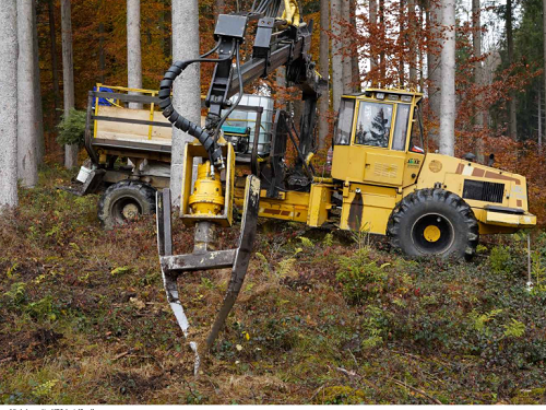 Forstunternehmen Victor Jäger - Pflanzung, Erstaufforstung, Wiederaufforstung